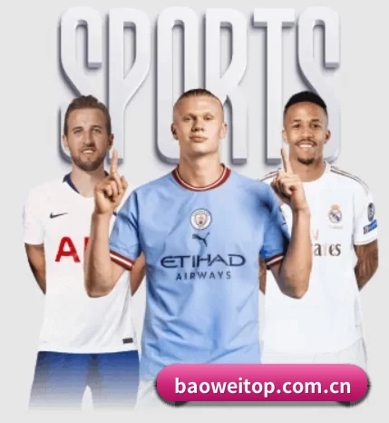 坚持做好基础的事 - 长期内容价值积累 - Baowei Sports